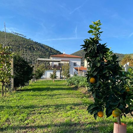 La Tenuta Di Eva Pisa Dış mekan fotoğraf