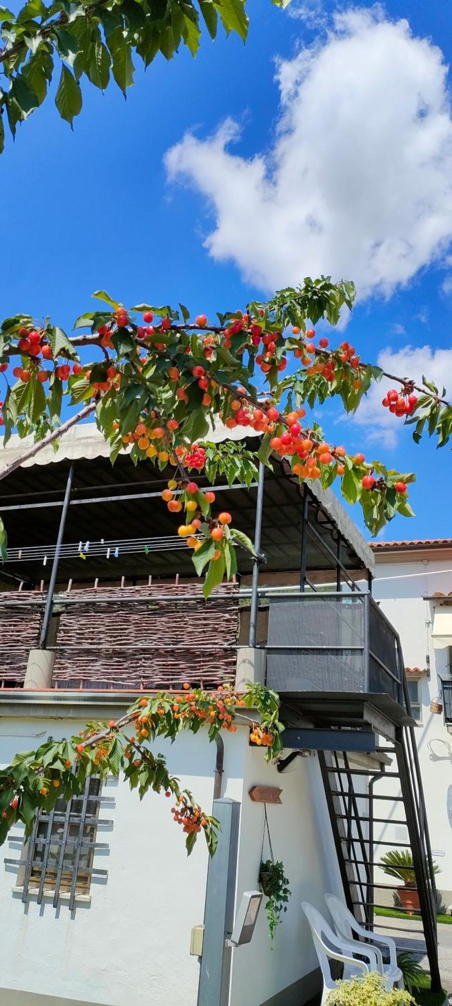 La Tenuta Di Eva Pisa Dış mekan fotoğraf