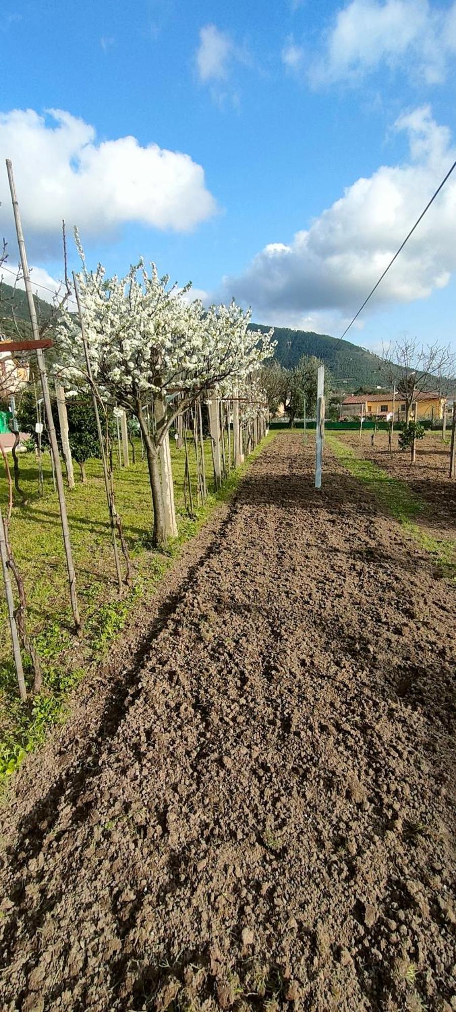 La Tenuta Di Eva Pisa Dış mekan fotoğraf
