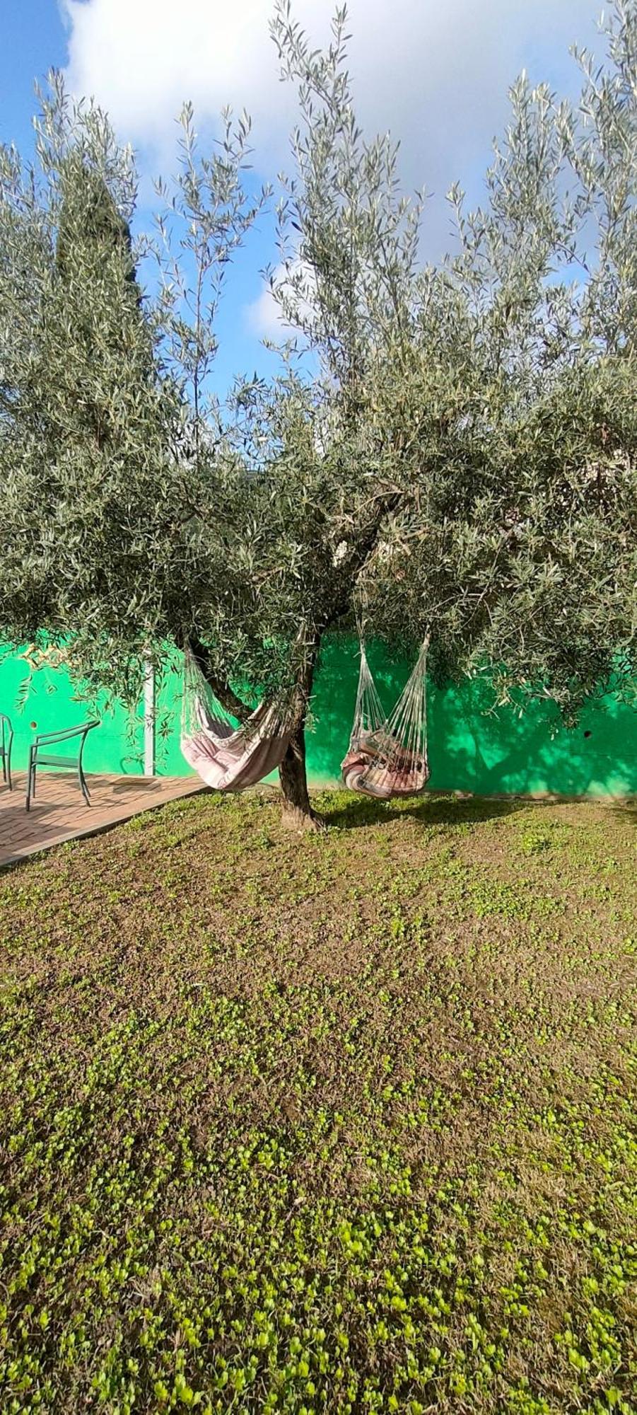 La Tenuta Di Eva Pisa Dış mekan fotoğraf