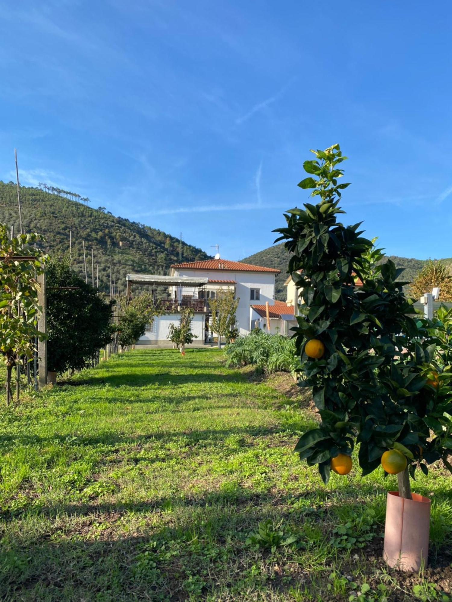 La Tenuta Di Eva Pisa Dış mekan fotoğraf