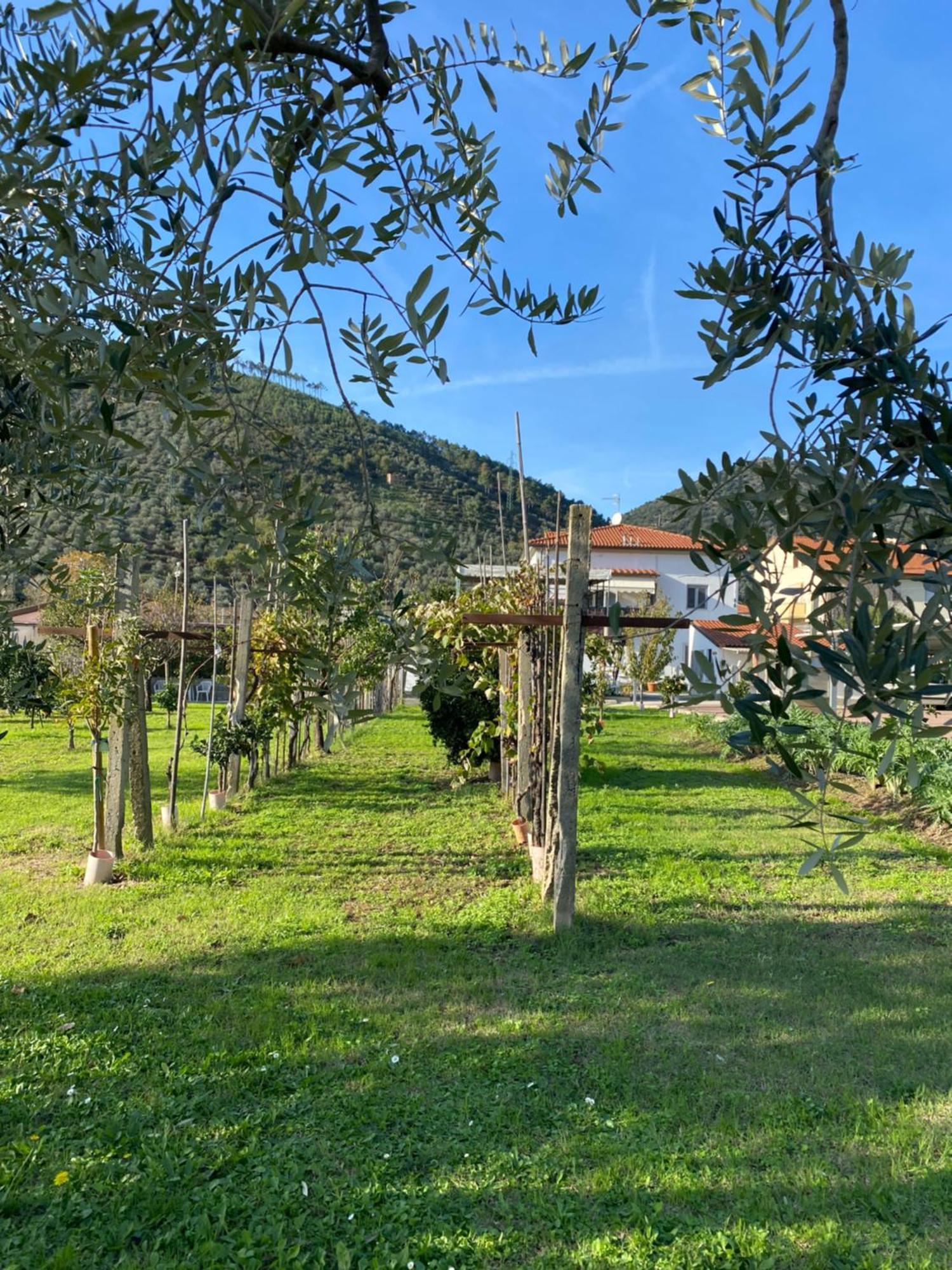 La Tenuta Di Eva Pisa Dış mekan fotoğraf
