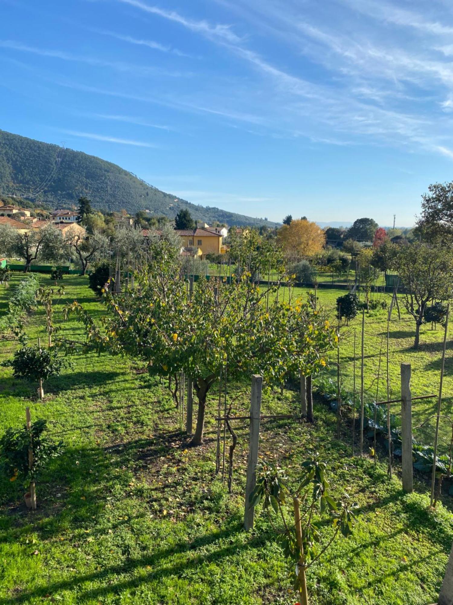 La Tenuta Di Eva Pisa Dış mekan fotoğraf