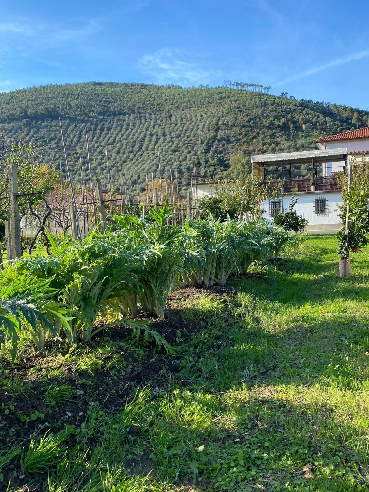 La Tenuta Di Eva Pisa Dış mekan fotoğraf