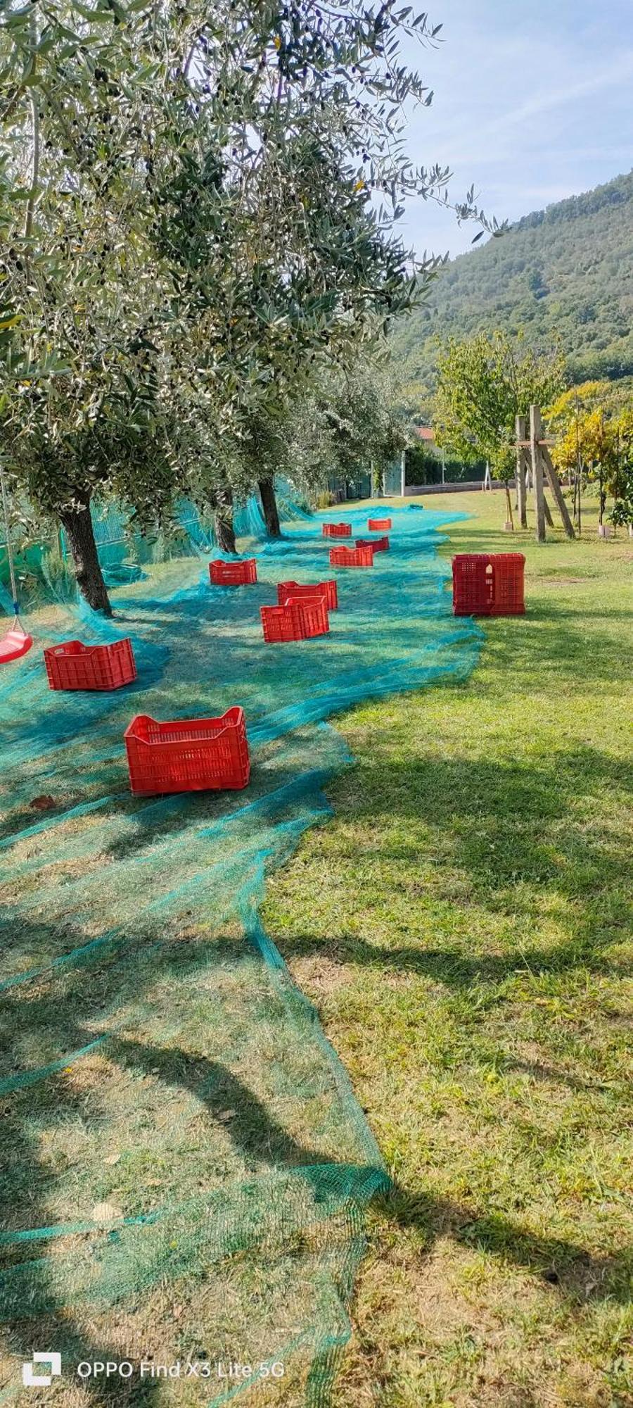La Tenuta Di Eva Pisa Dış mekan fotoğraf