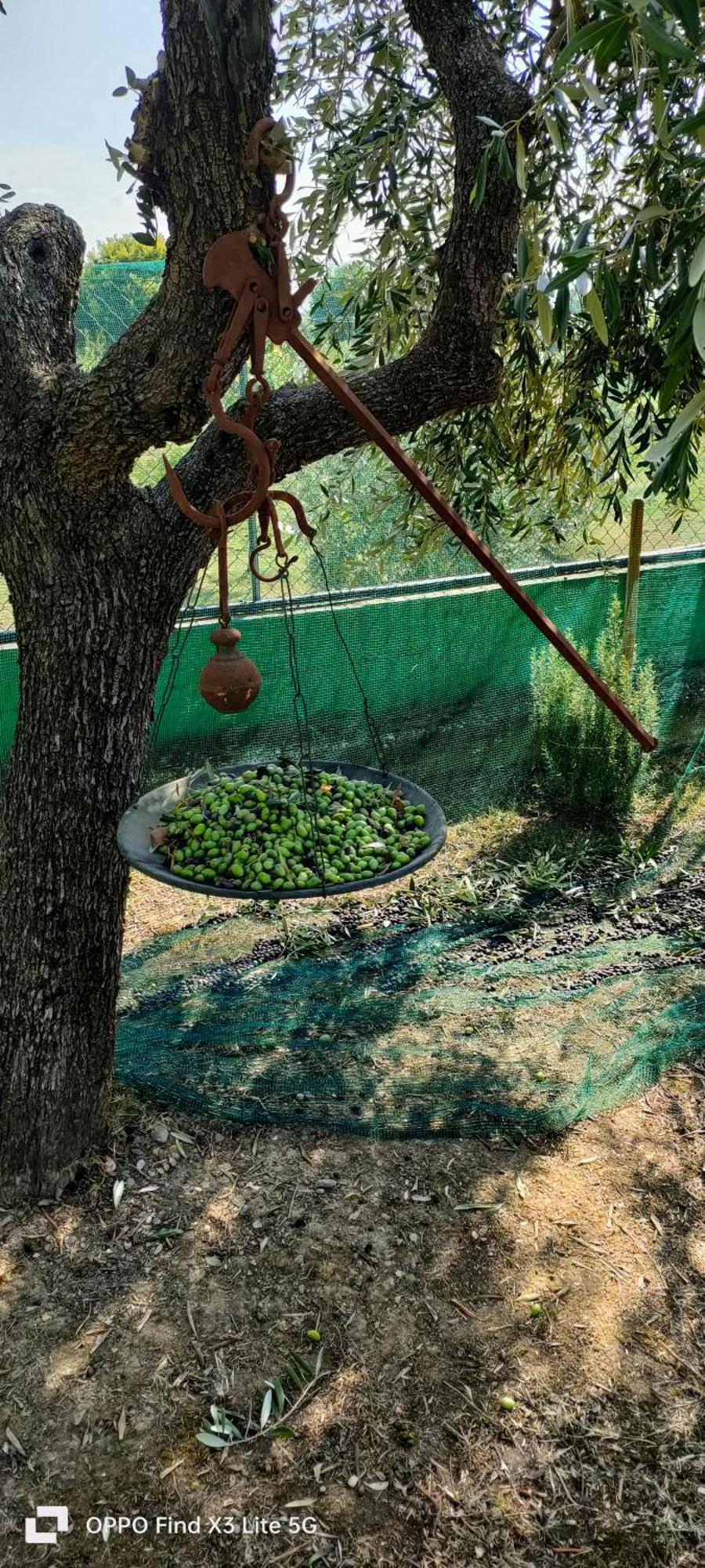 La Tenuta Di Eva Pisa Dış mekan fotoğraf