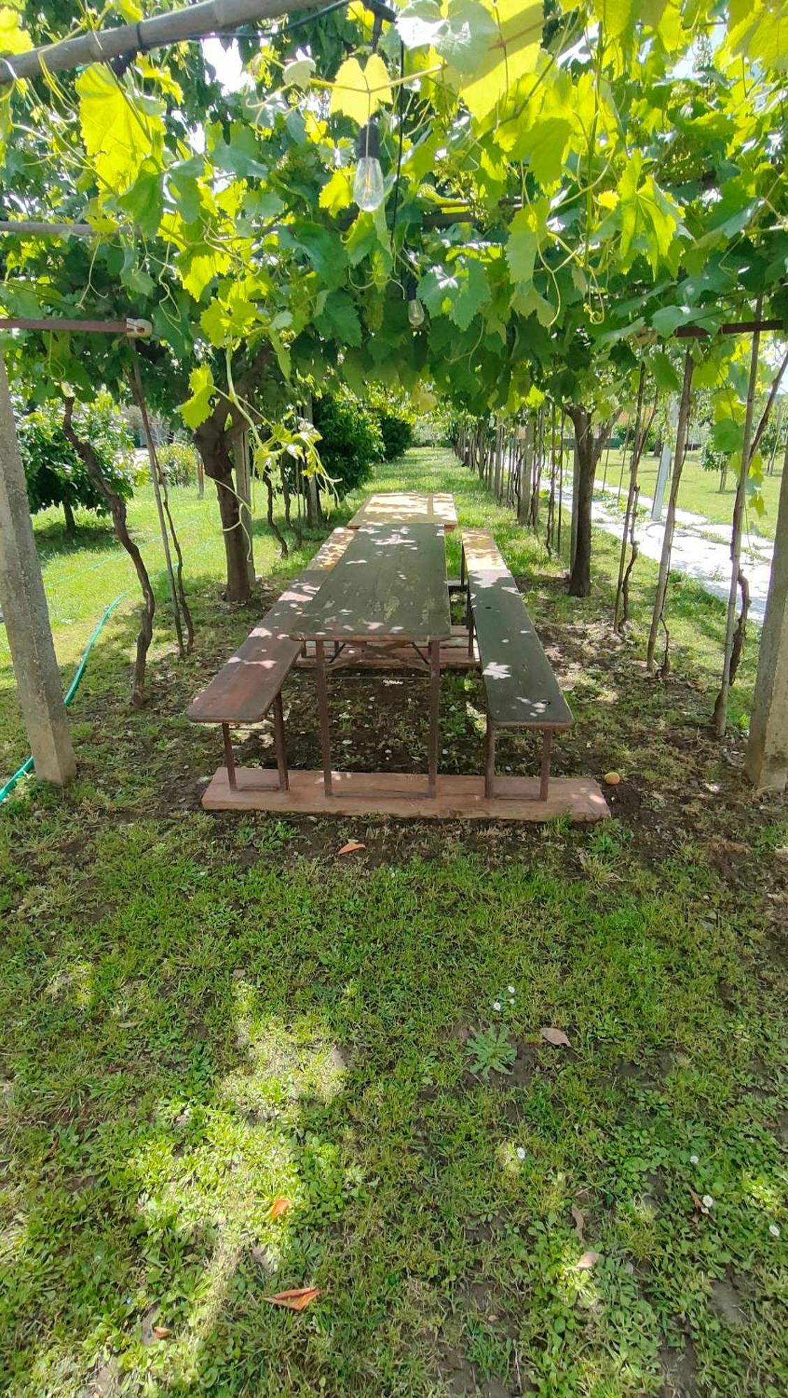 La Tenuta Di Eva Pisa Dış mekan fotoğraf